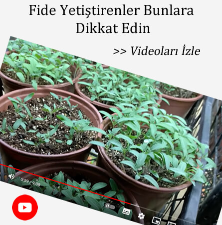 eryaman çiftliği