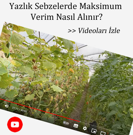 eryaman çiftliği