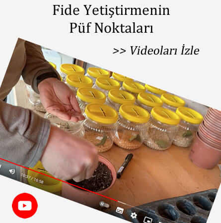 eryaman çiftliği