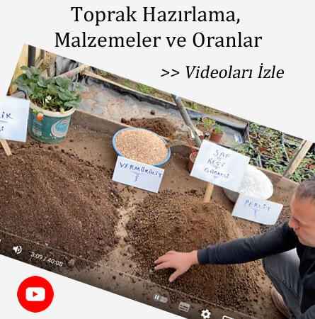 eryaman çiftliği