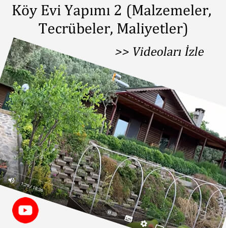 eryaman çiftliği